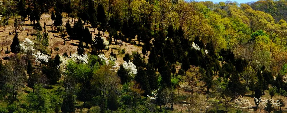 Photos of the week! April 7