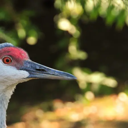 Cape May County Parks
