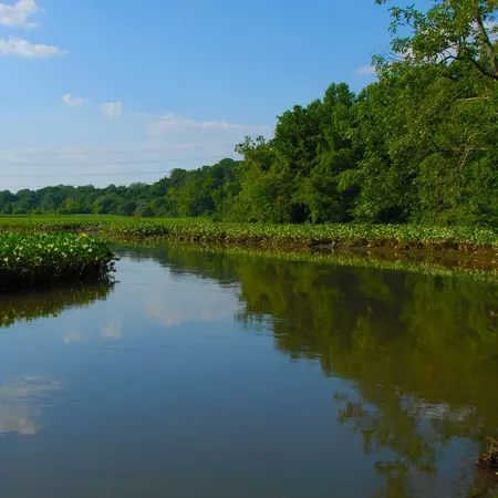 Abbott Marsh