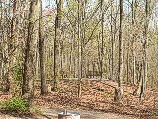 Camden County Parks